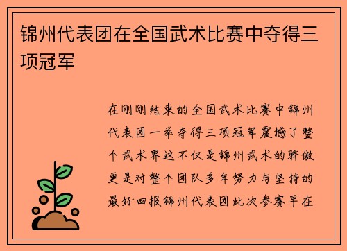 锦州代表团在全国武术比赛中夺得三项冠军